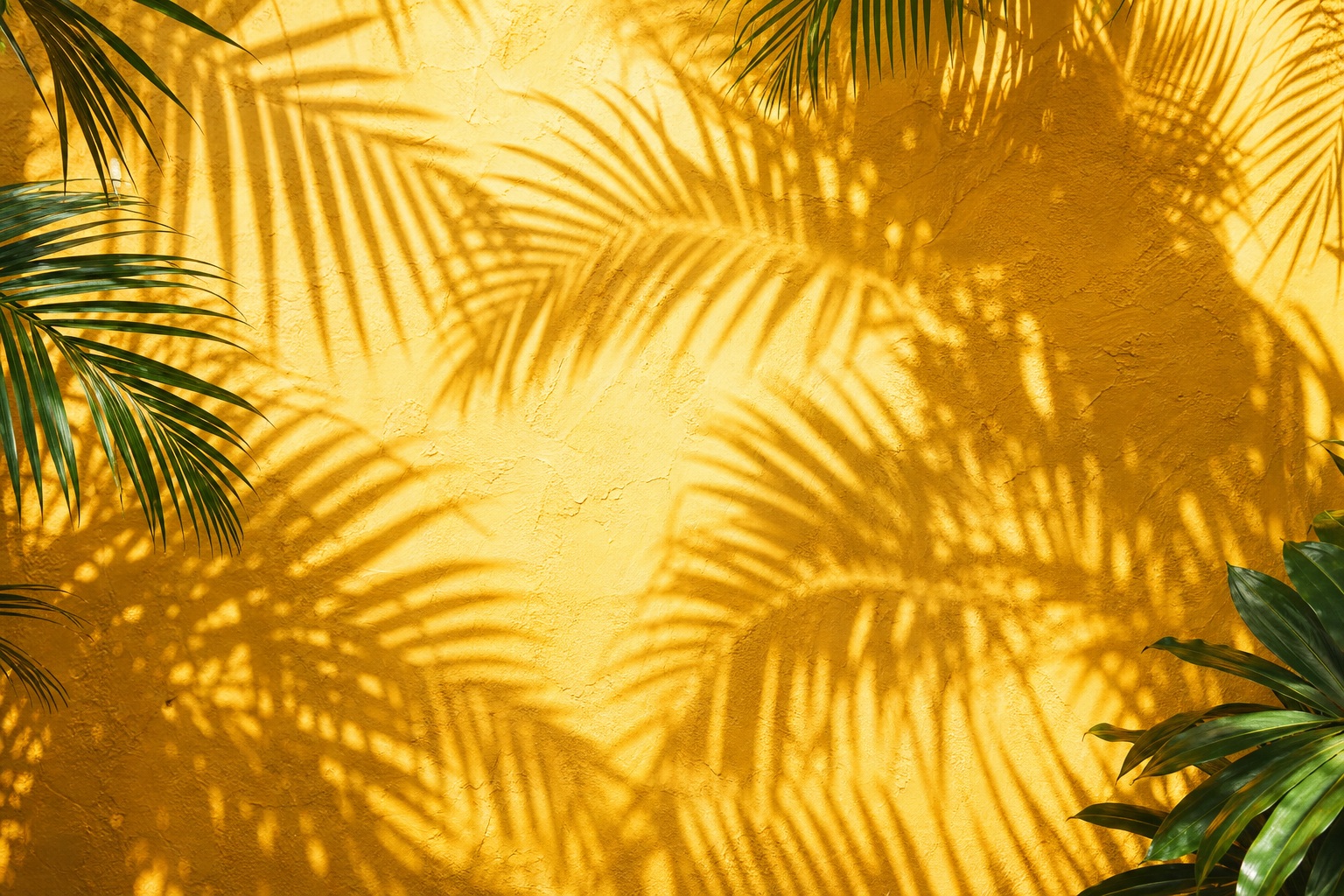 Palm leaf shadows falling across a sunny yellow wall with foliage at the edges