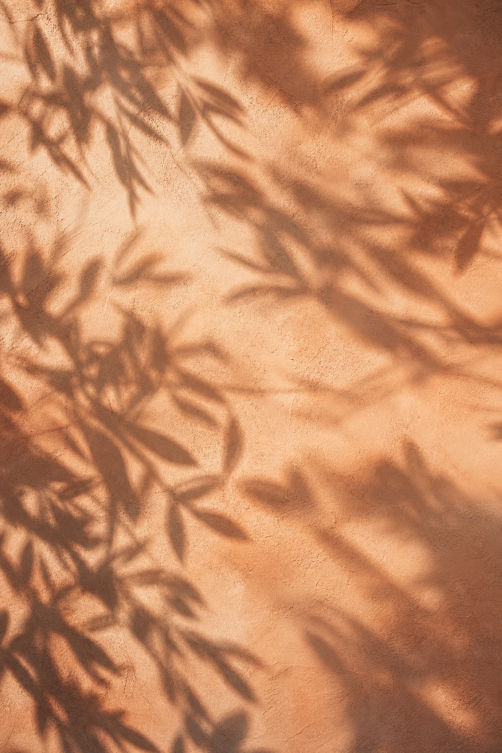 Preview for Terracotta Leaf Shadow Background