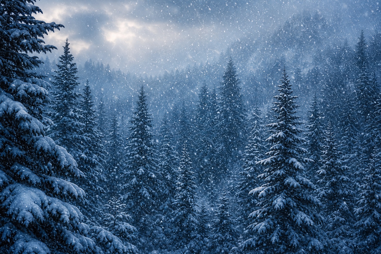 Preview for Snowy Pine Forest Background