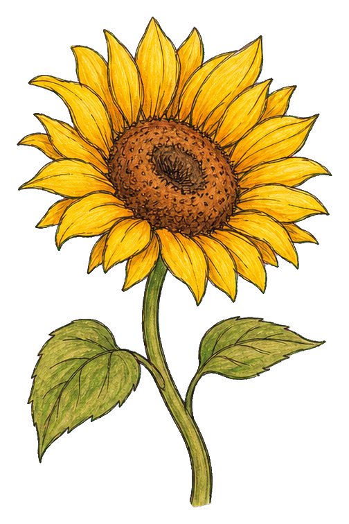 Preview for Golden Sunflower Sticker
