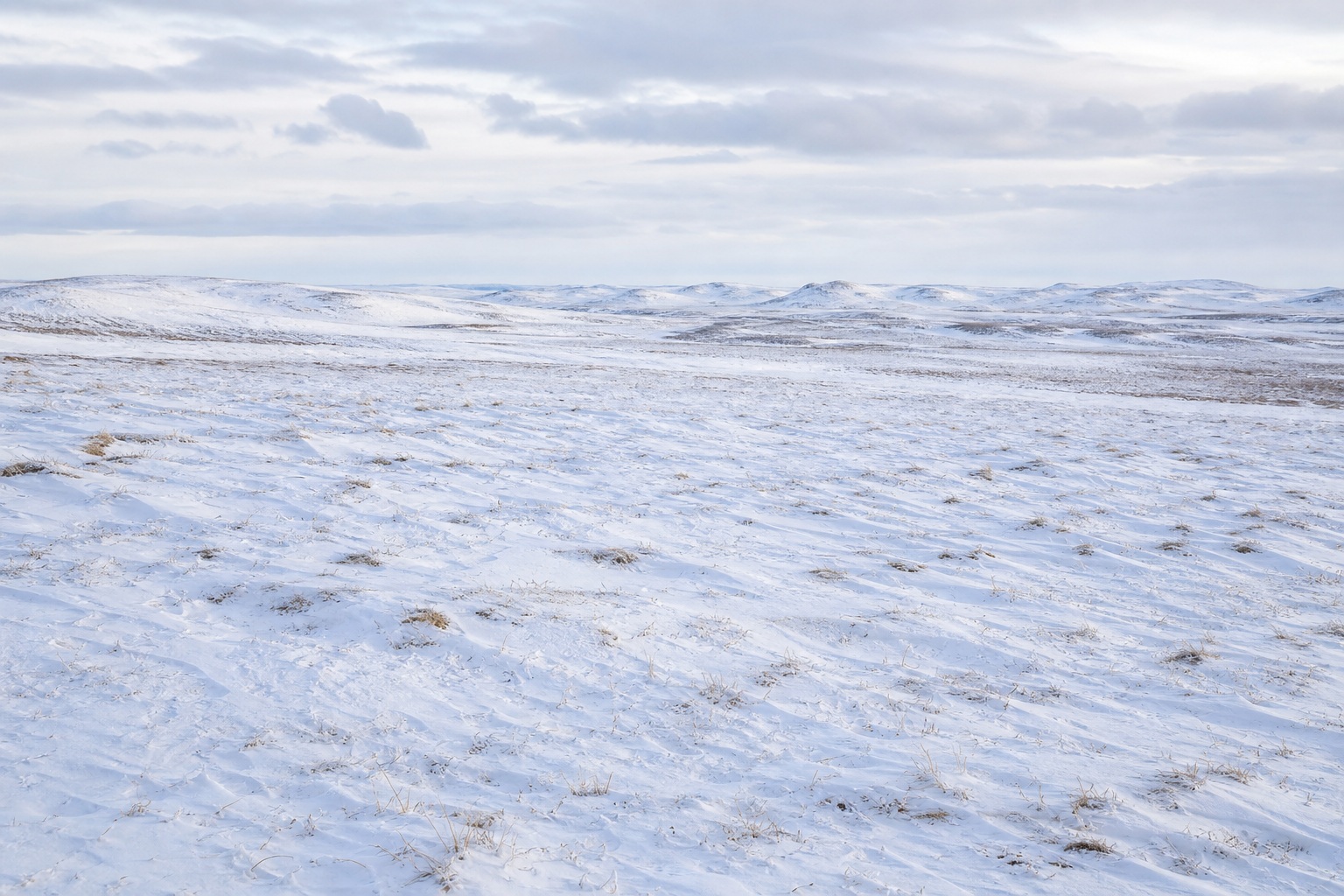 Wide snowy tundra under a pale sky with distant ice-covered hills