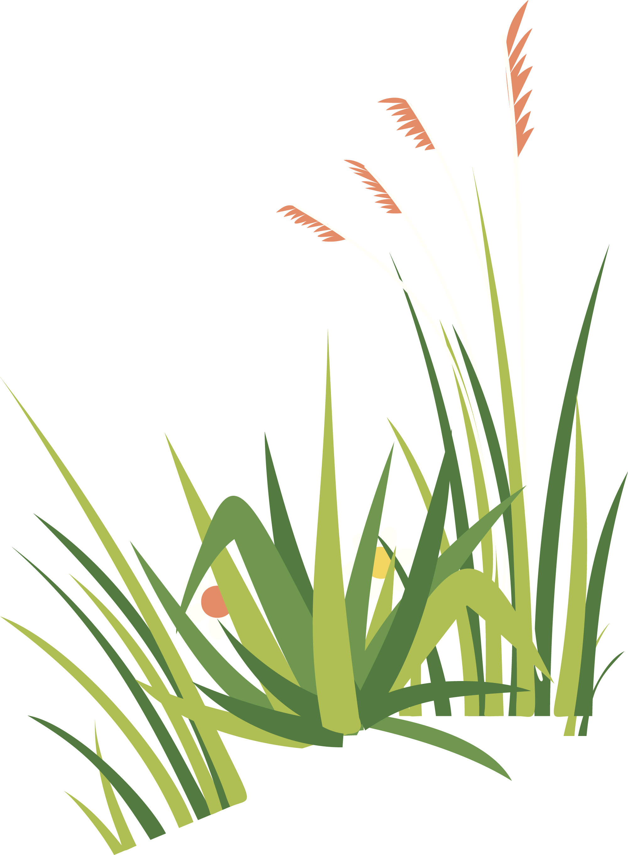 Preview for Grass-wildflowers-illustration-spring-sticker-c33b5