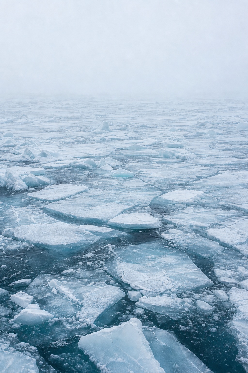 Preview for Arctic Ice Field Background