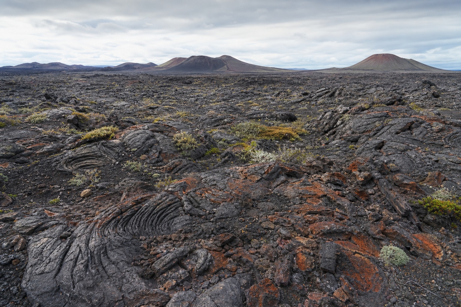 Preview for Weathered Basalt Plain Stock Background