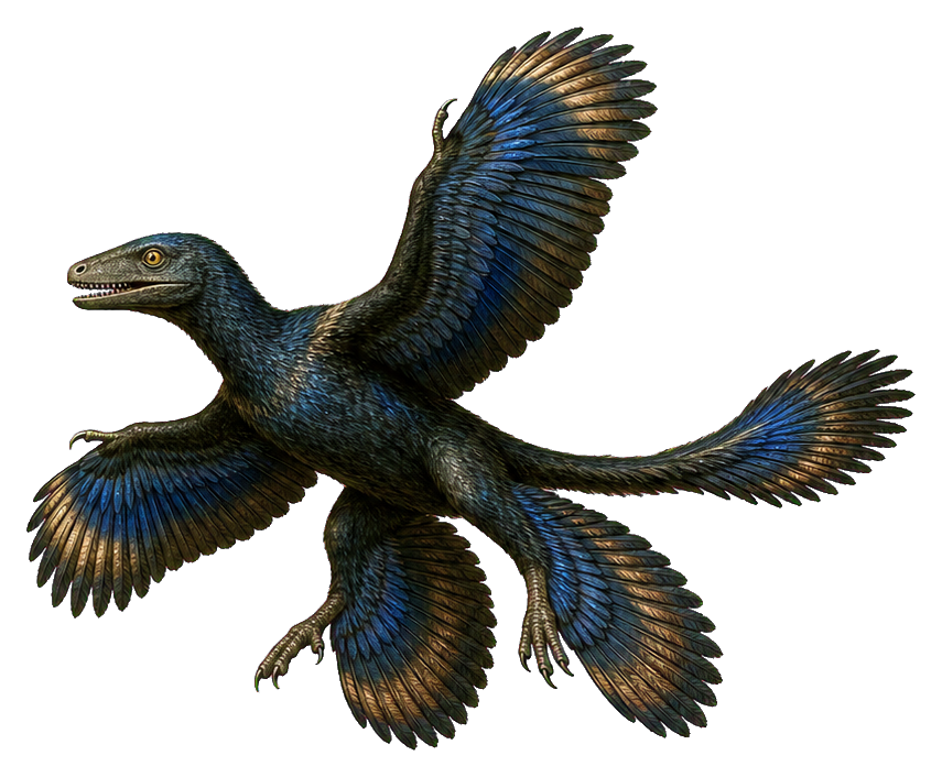 Preview for Four-wing Microraptor Glider Sticker