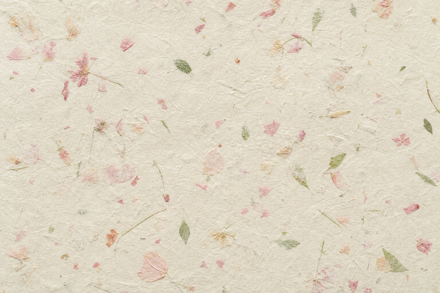Preview for Pressed Flower Paper Background