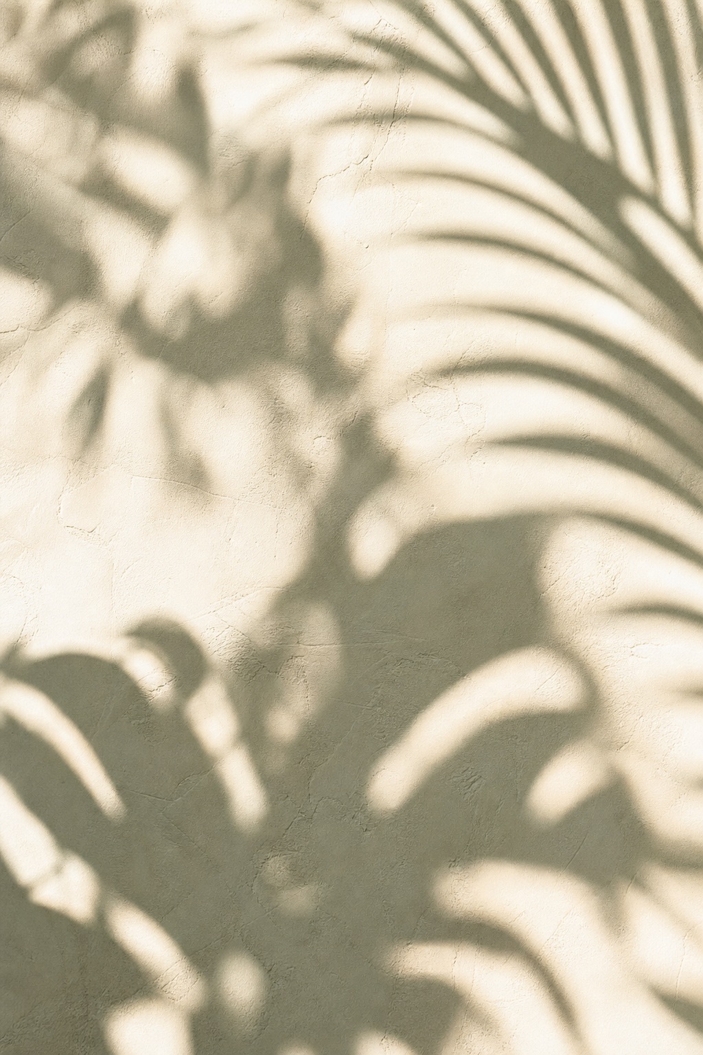 Preview for Vertical Tropical Shadow Background