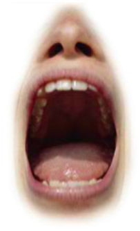 Preview for Open-mouth-close-up-mouths-sticker-40755