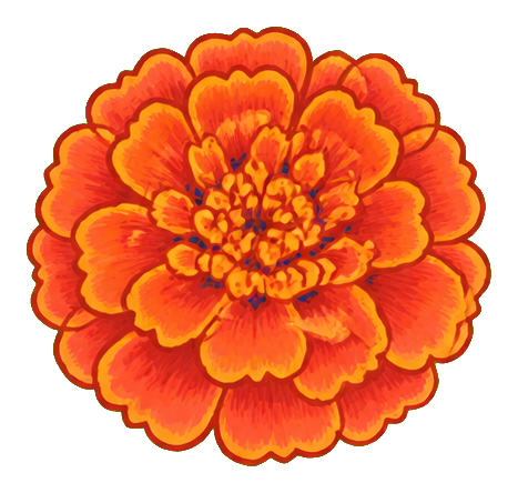 Preview for Marigold Flower Sticker For Designs