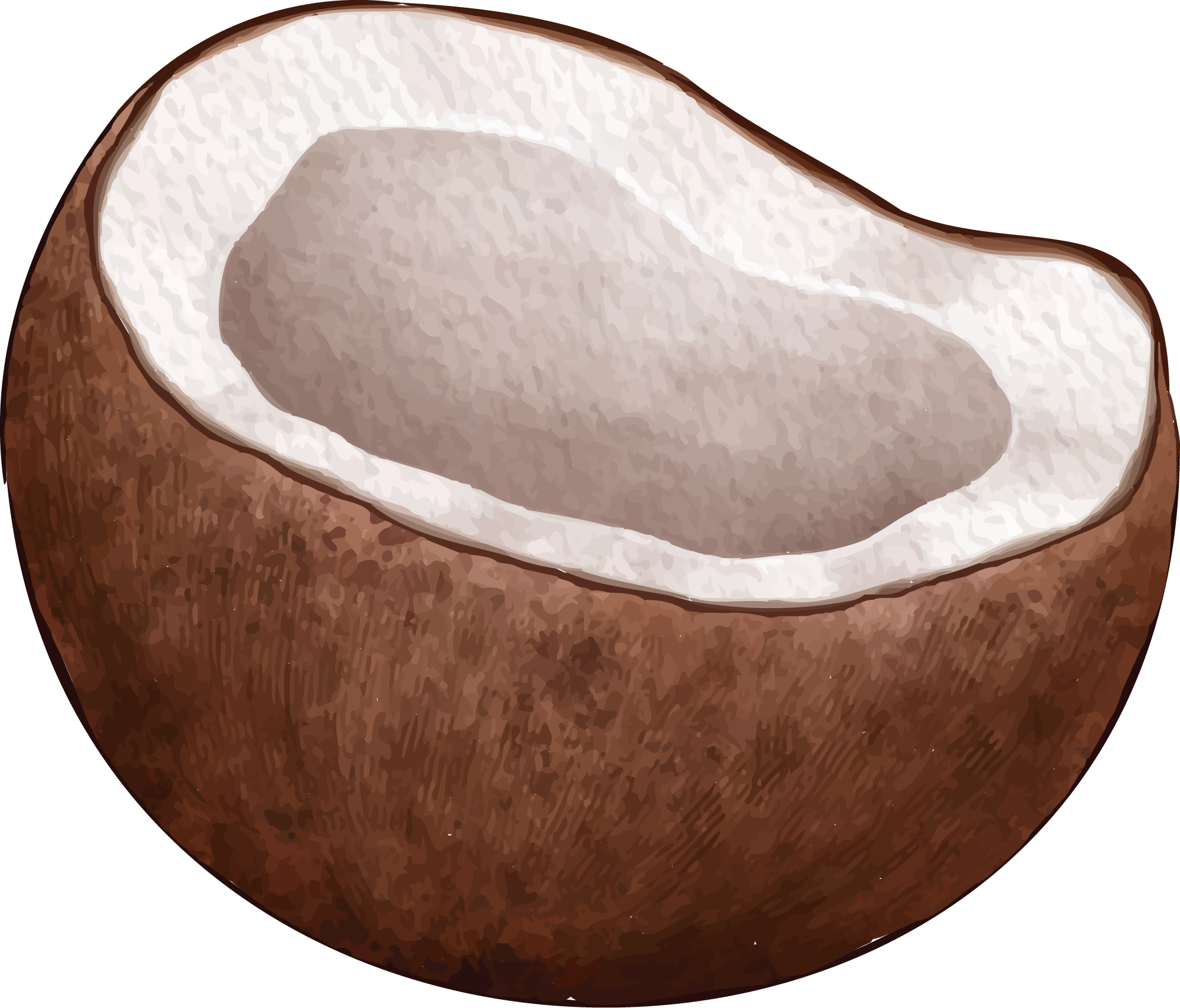 Preview for Coconut-fruit-image-summer-watercolor-sticker-09c05