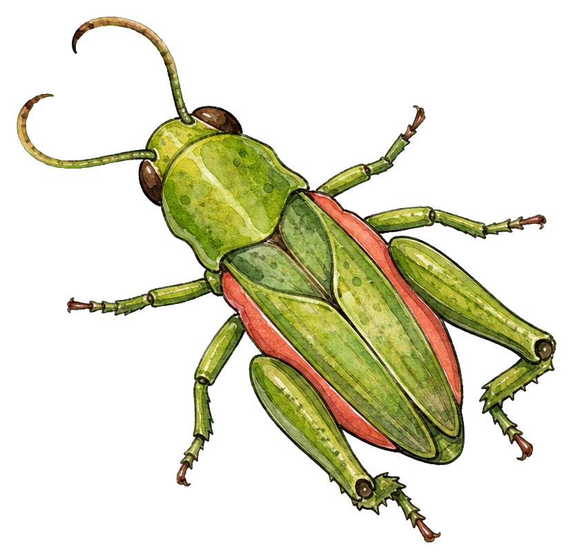 Preview for Lime Grasshopper Sticker