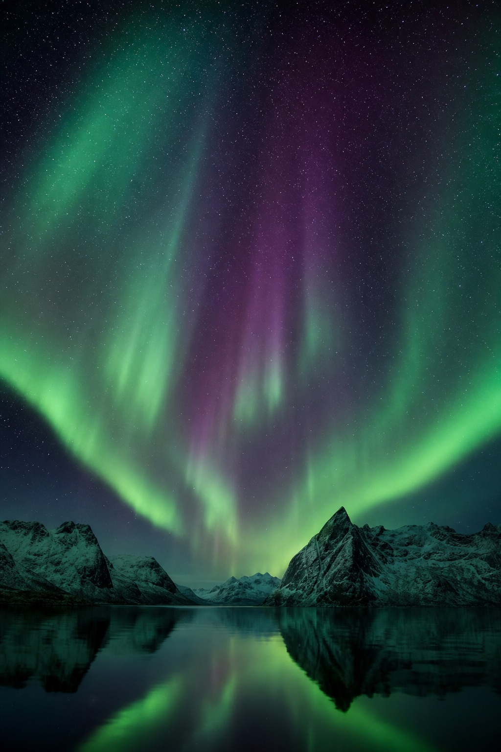 Preview for Aurora Fjord Night Sky Background
