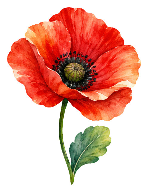 Preview for Watercolor Wildflowers Red Poppy