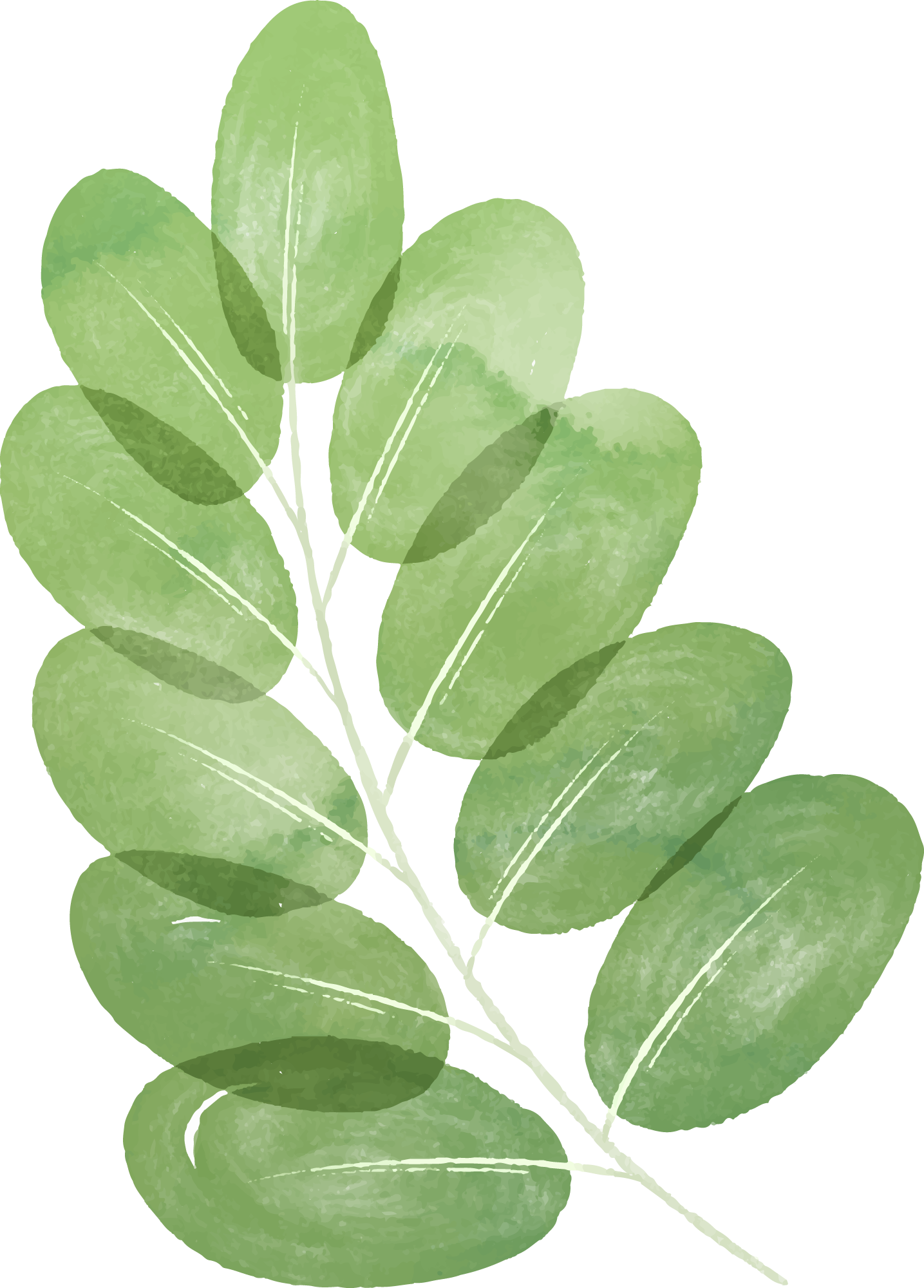 Preview for Green-leaves-illustration-spring-sticker-4c24b