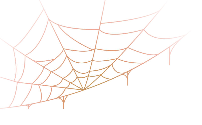 Preview for Vibrant-spider-web-design-halloween-sticker-6960c