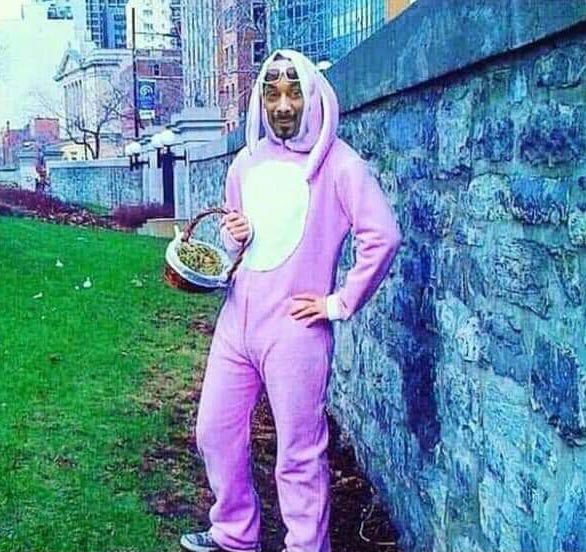 Preview for Man-in-pink-bunny-onesie-easter-meme-background-693ba