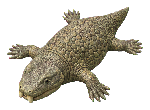 Realistic prehistoric Placodus animal sticker shown from above on a white background.