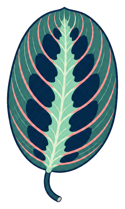 Preview for Prayer Plant Sticker Graphic