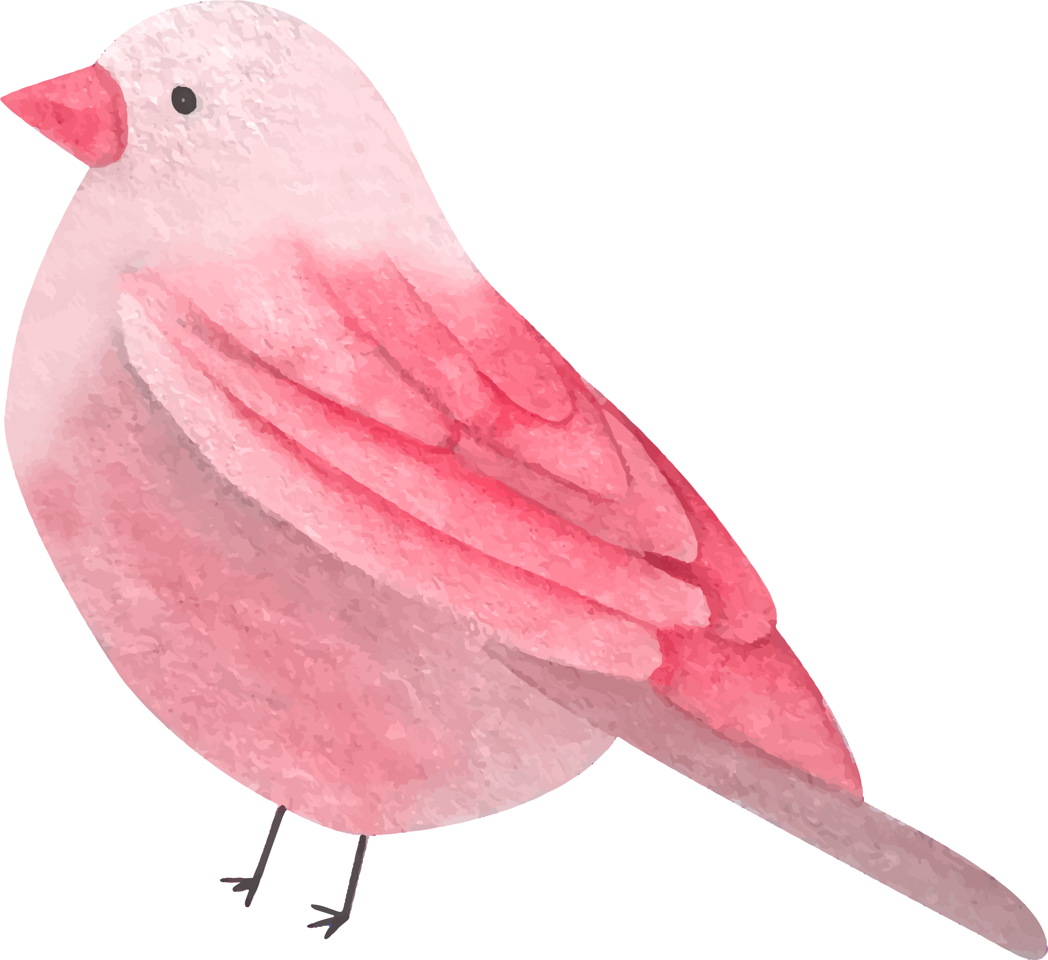 Preview for Pink-bird-watercolor-illustration-watercolor-love-sticker-cd972