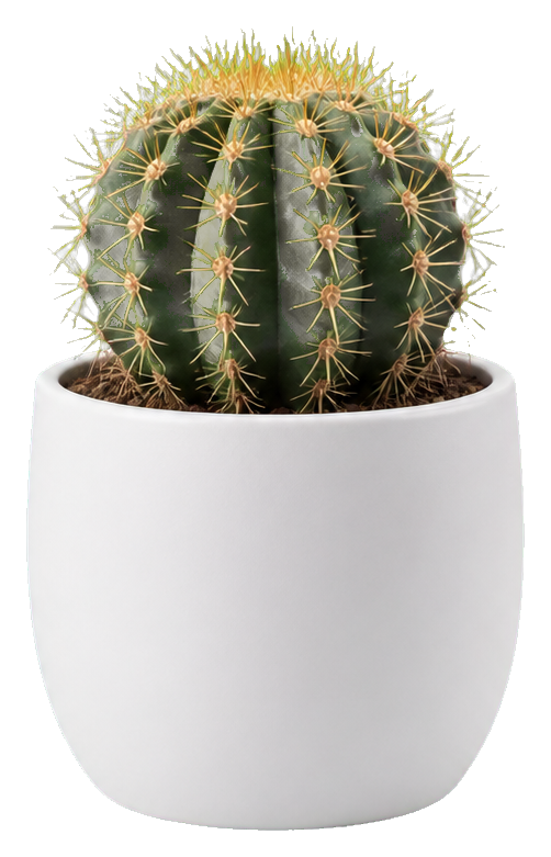 Preview for Mini Cactus Sticker
