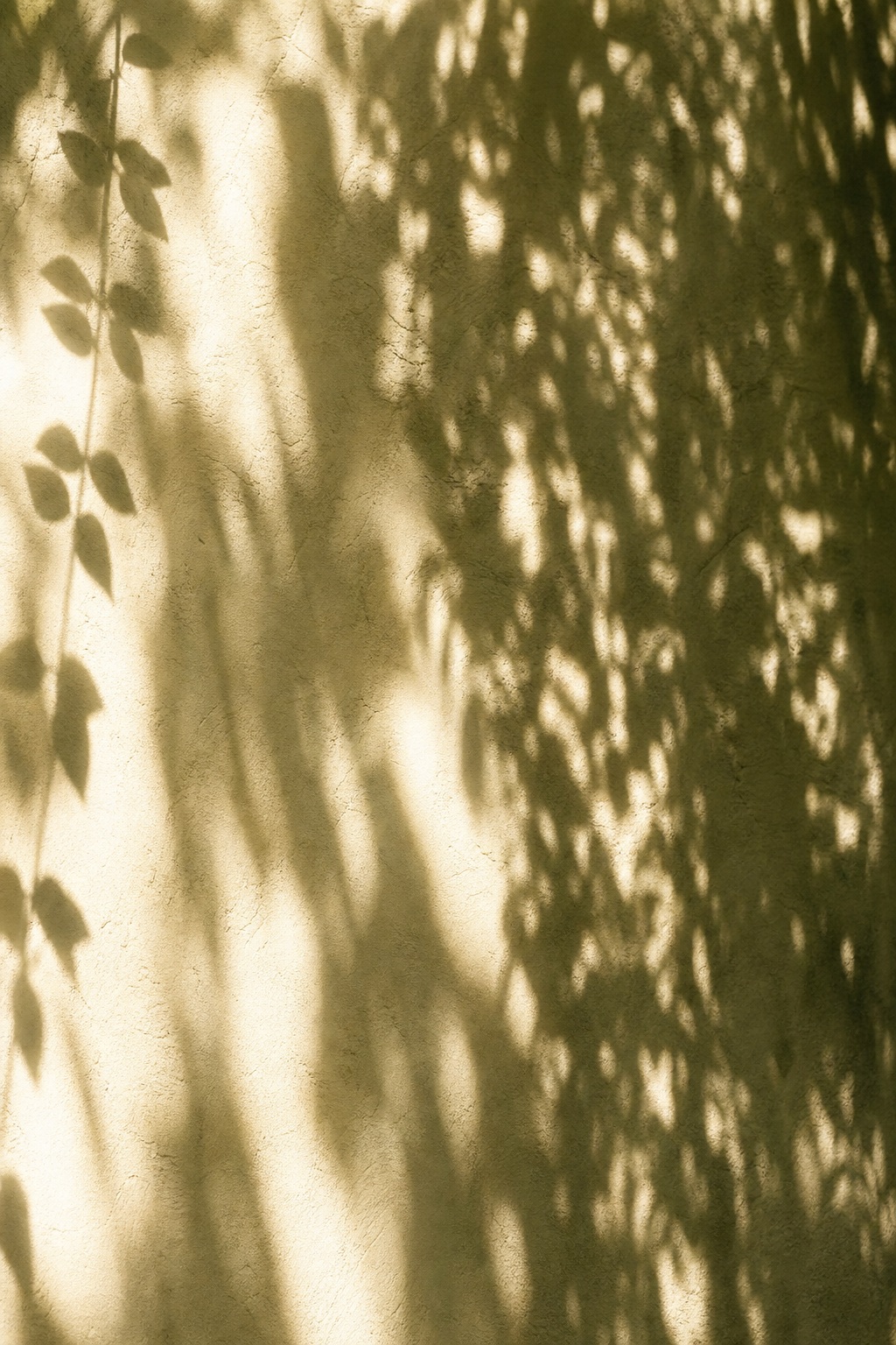 Preview for Vertical Dappled Wall Background