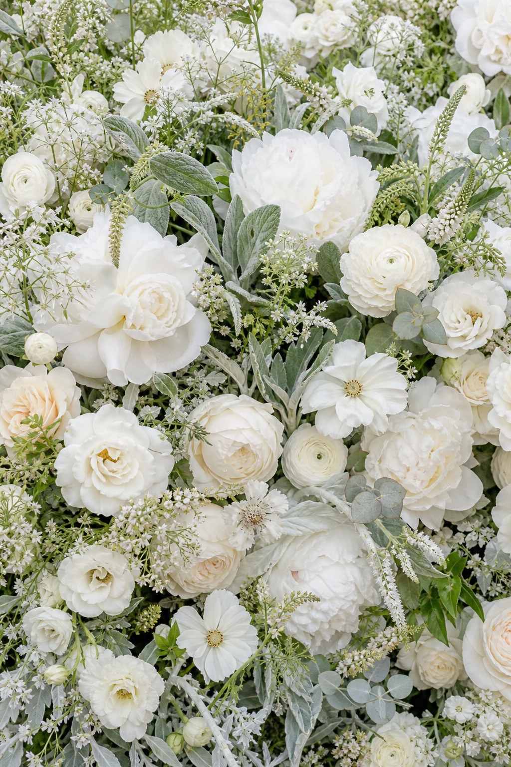 Preview for White Sage Wildflower Wedding Background