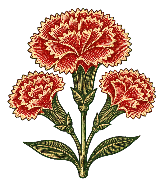Preview for Carved Carnation Flower Sticker