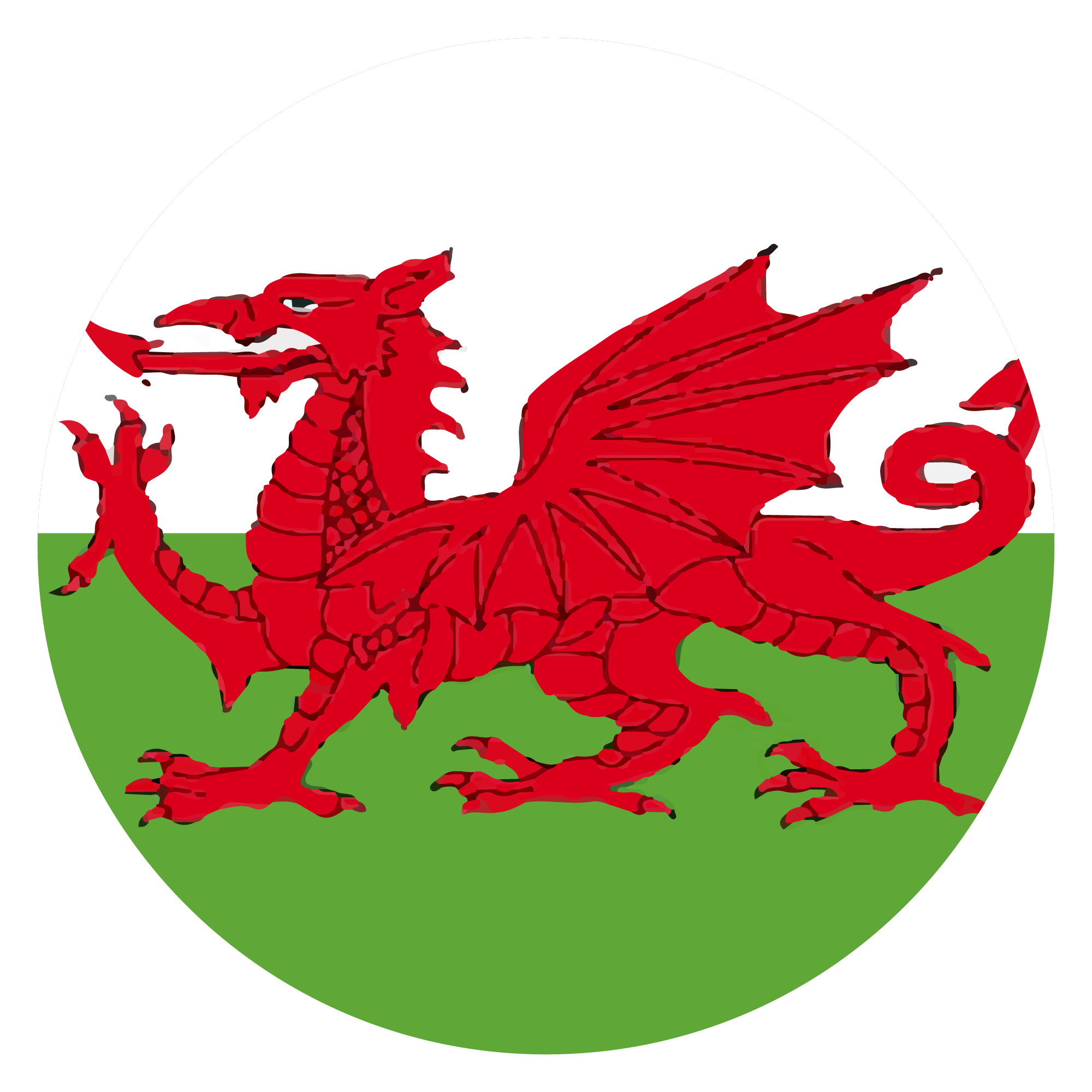 Preview for Wales-national-emblem-world-cup-sticker-3e69d