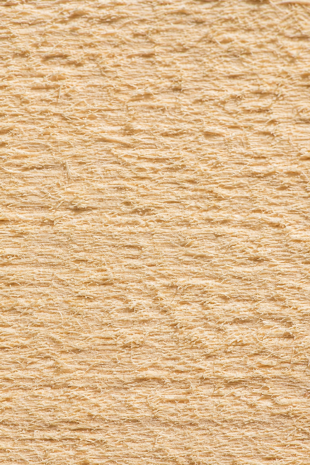 Preview for High Key Rough Sawn Timber Fiber Background