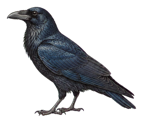Preview for Vintage Bird Specimen Sticker