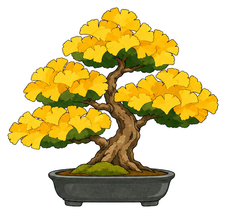 Preview for Ginkgo Bonsai