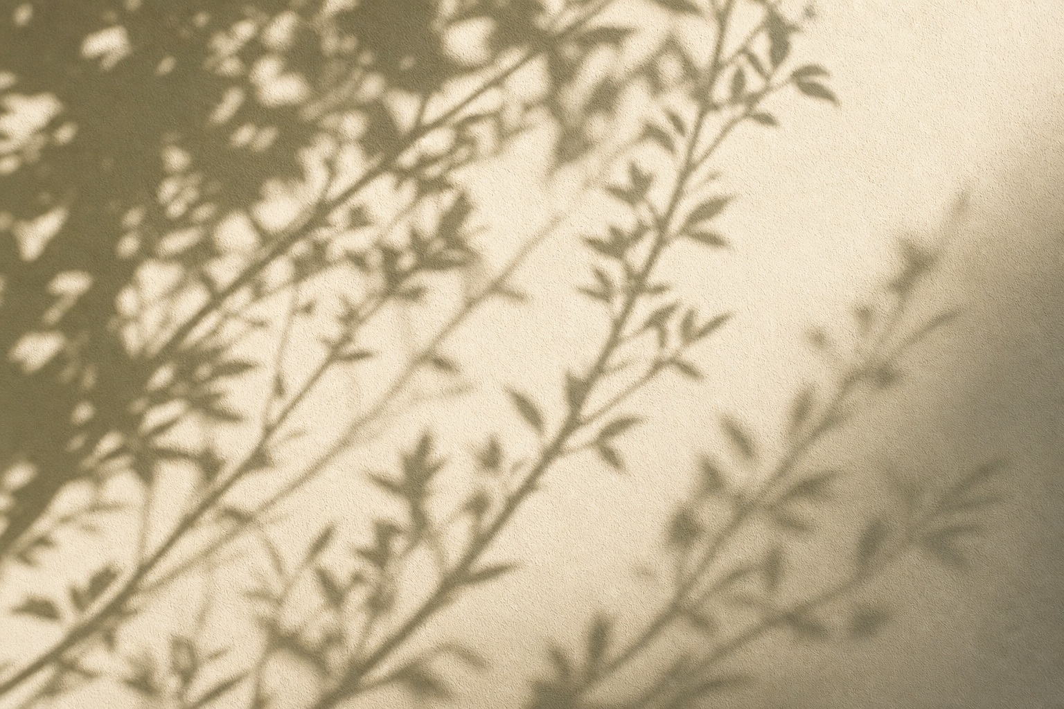 Preview for Soft Branch Shadow Background