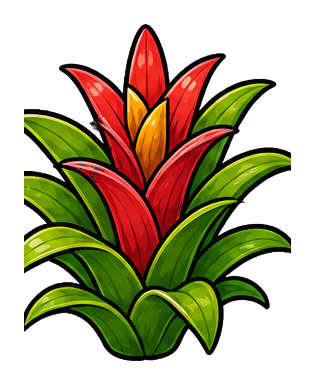 Colorful bromeliad rosette with red center leaves and green outer leaves