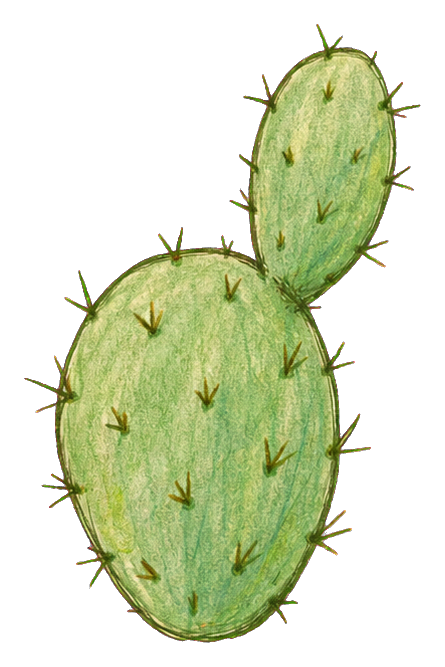 Preview for Bunny Ear Cactus Sticker