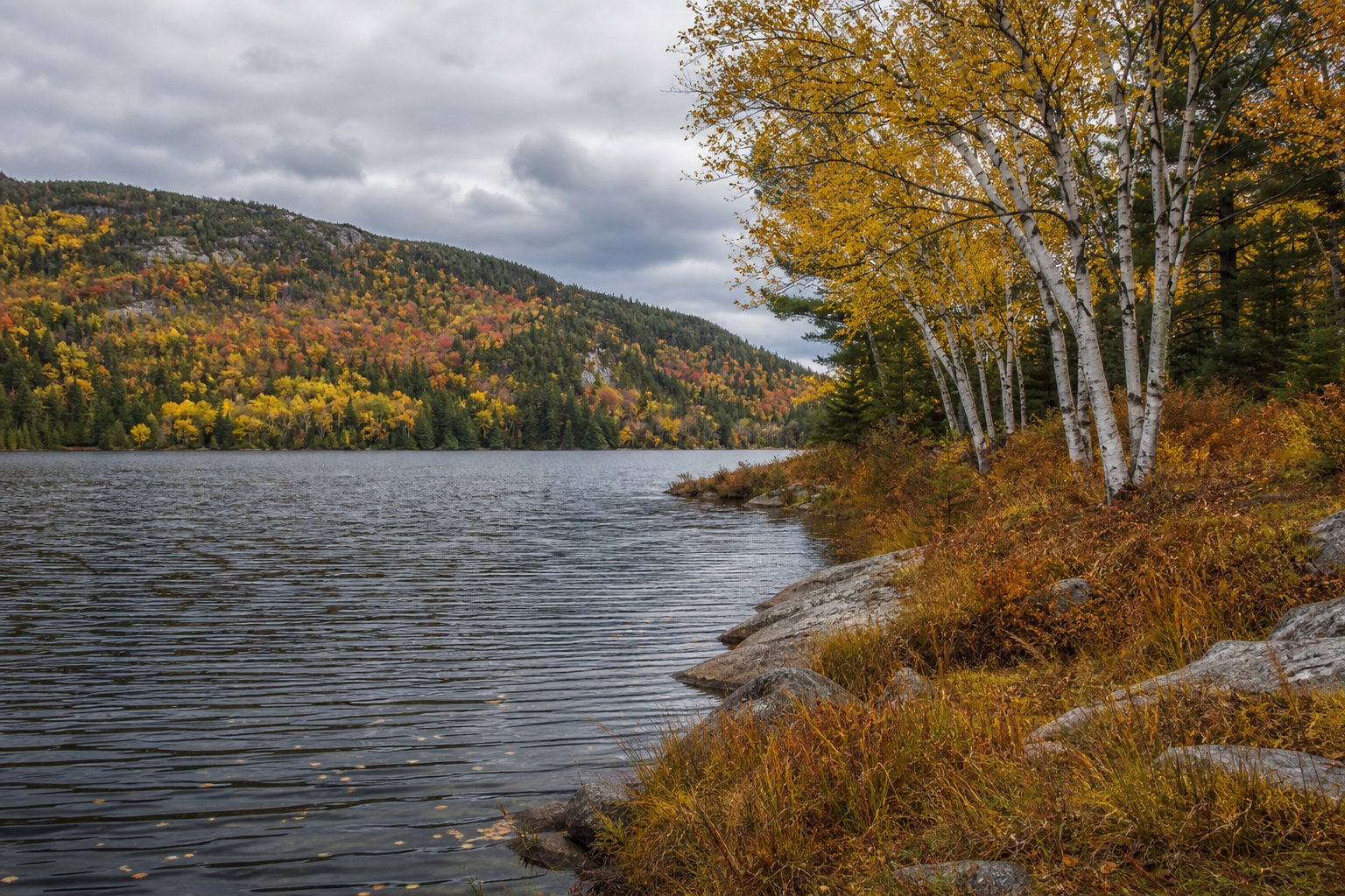 Autumn lake beside golden trees, rocky shore, and distant snow-dusted mountains.
