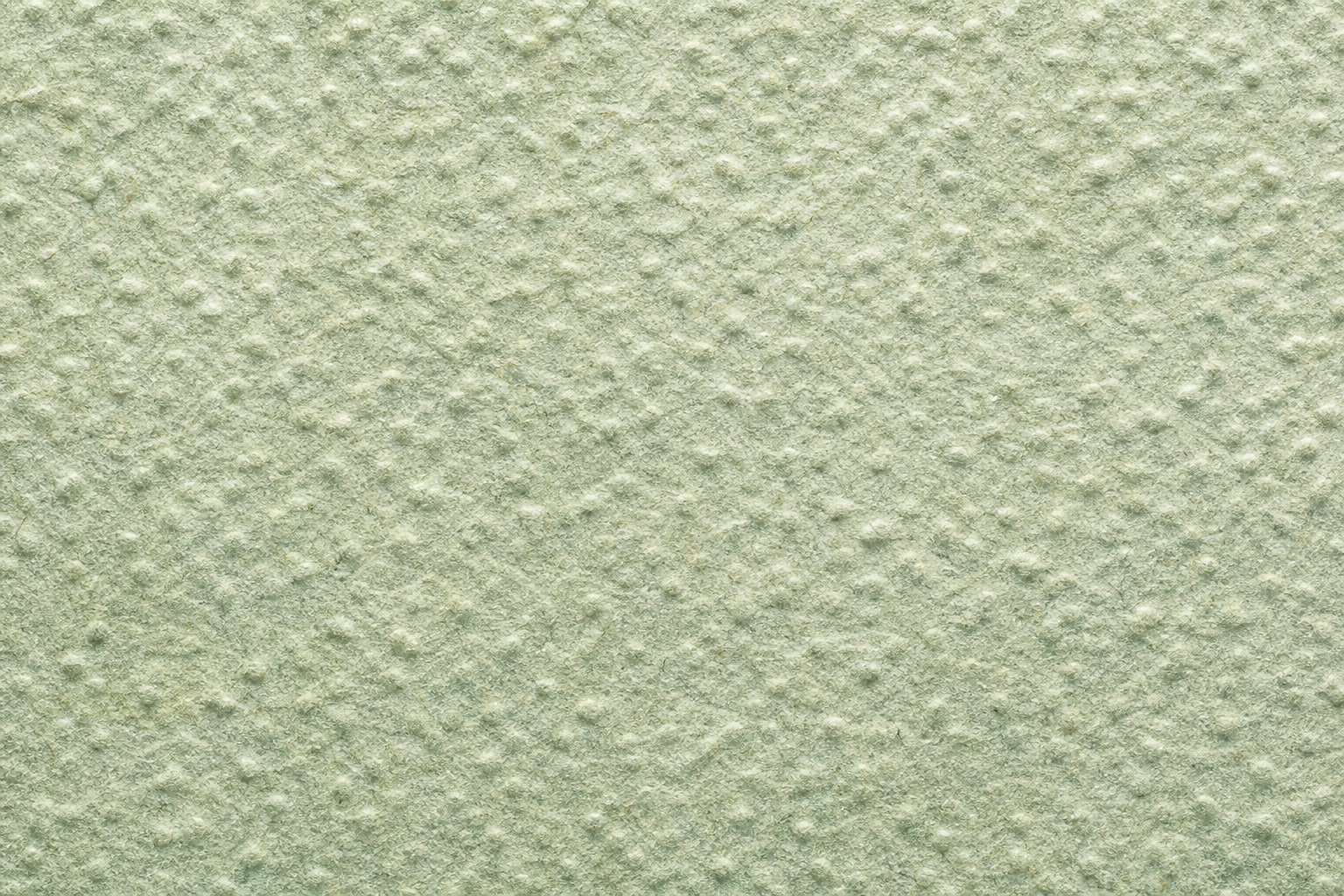 Preview for Sage Mist Embossed Paper Texture Background