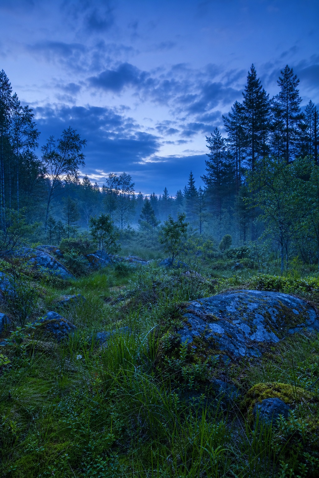 Blue hour forest clearing with grass, rocks, trees, and a cloudy sky