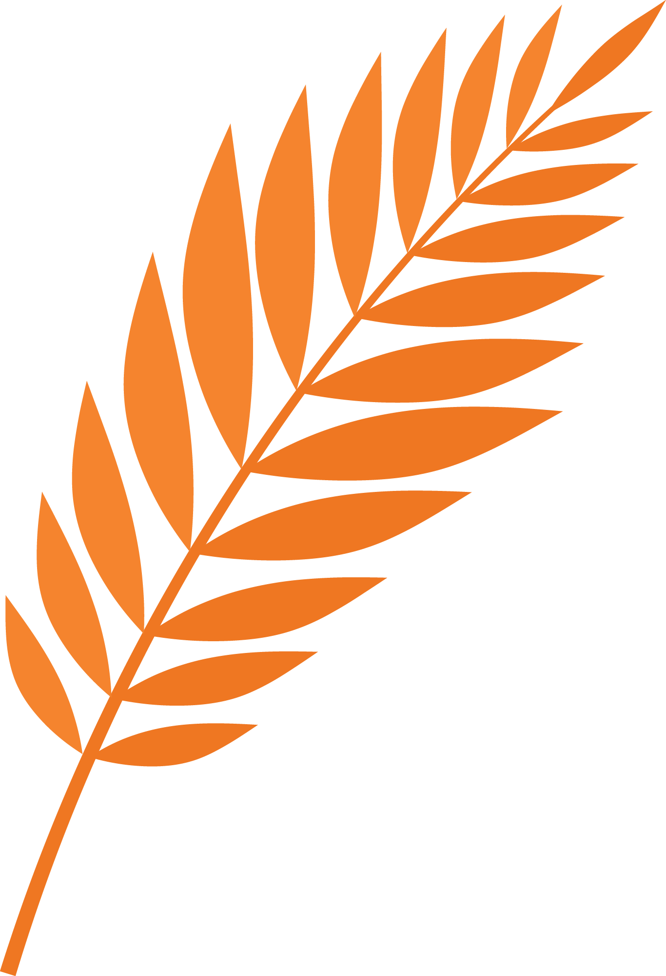 Preview for Orange-branch-icon-summer-sticker-0880b