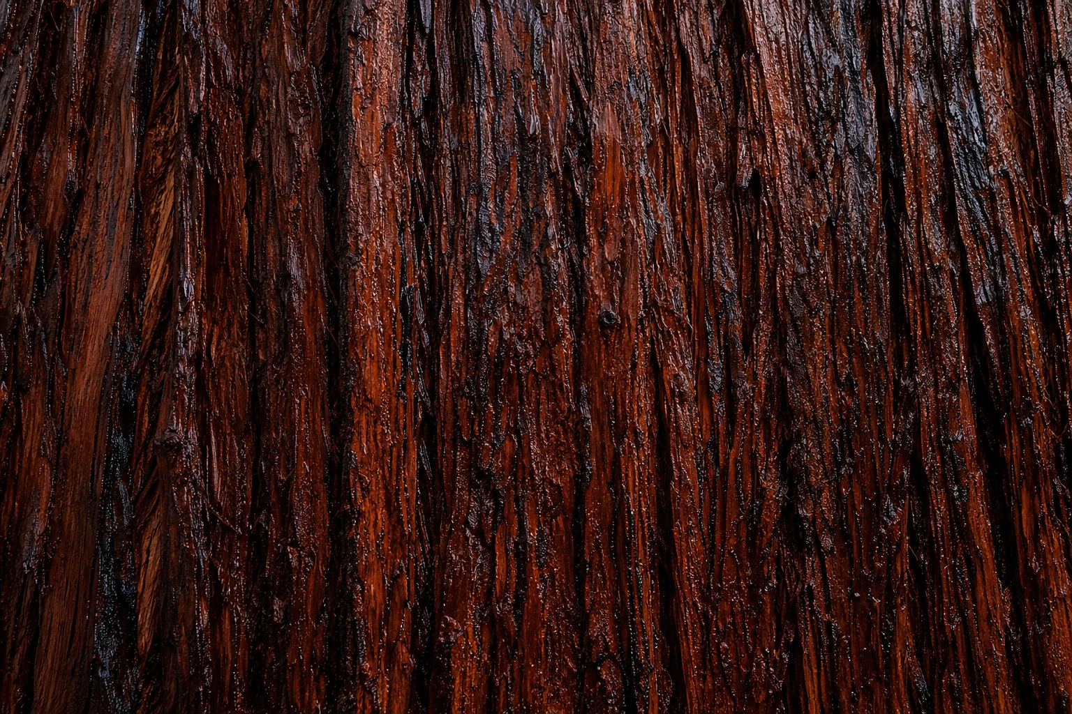 Preview for Weathered Redwood Bark Texture Background