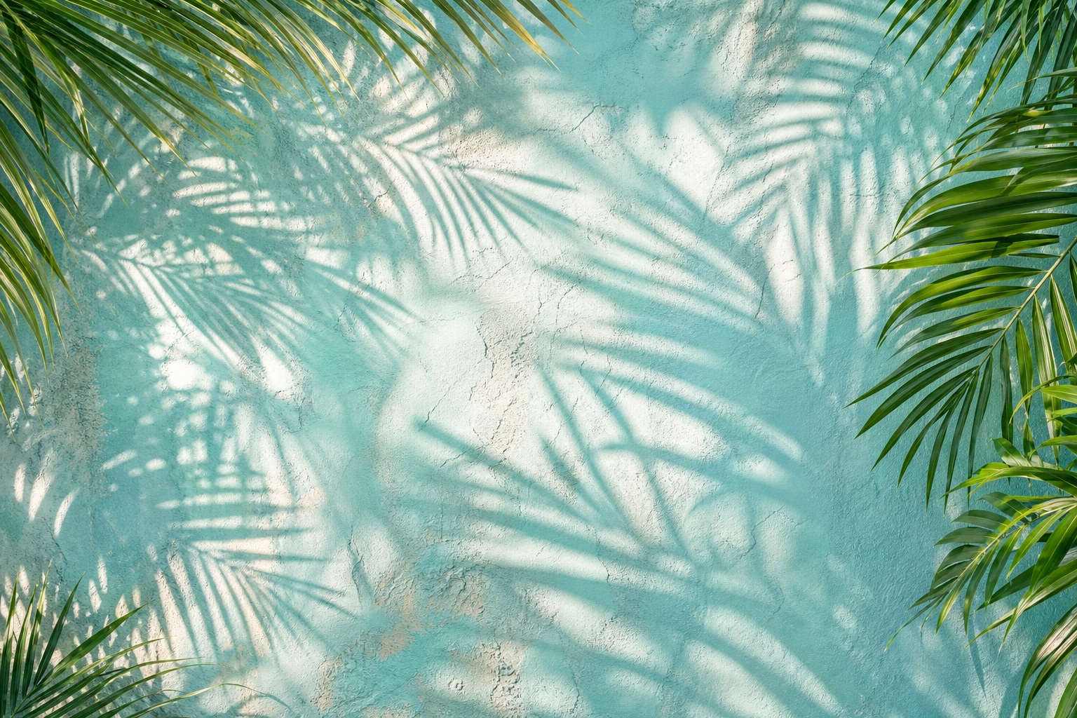 Preview for Aqua Plaster Palm Shadow Background