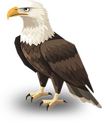 Preview for Bald-eagle-illustration-animal-sticker-b049a