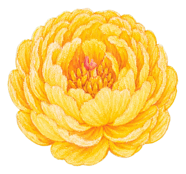 Preview for Yellow Peony Sticker Graphic