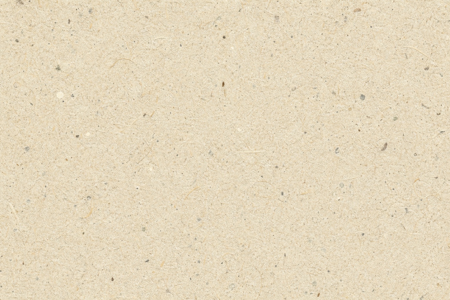 Preview for Recycled Speckled Paper Background