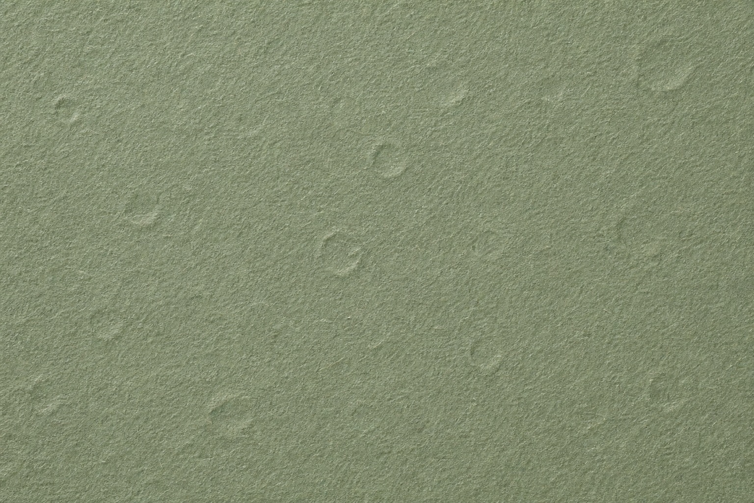 Preview for Sage Mist Embossed Paper Texture Background