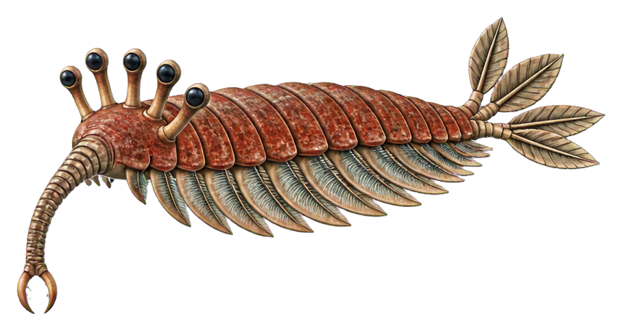 Colorful Opabinia with five eyes and a segmented body in profile