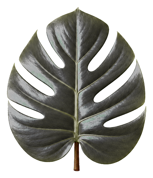 Preview for Green Leaf Sticker For Photo Designs