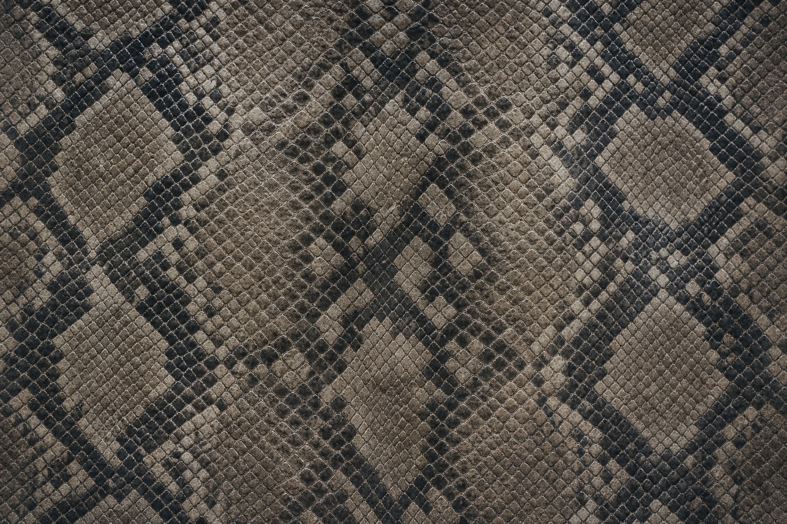 Preview for Snake Scale Print Background