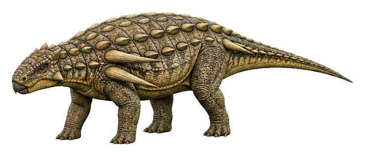 Realistic armored Sauropelta dinosaur shown in profile with a spiked shoulder shield.