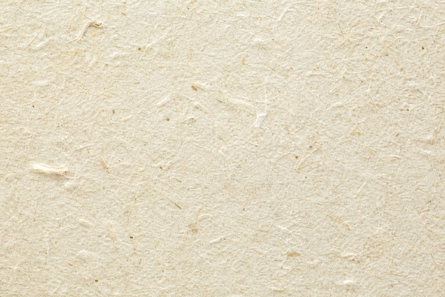 Preview for Warm Ivory Cotton Rag Paper Background