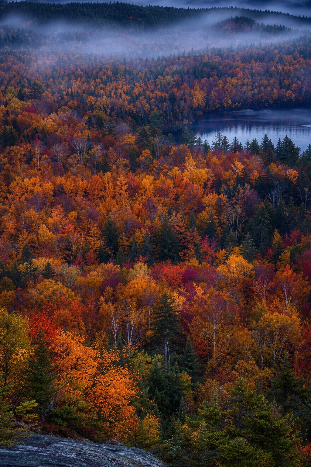 Vivid fall forest canopy and distant lake under cool twilight in a mountain landscape.